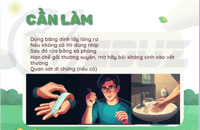 Bạn cần làm